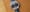 First Look – The Armin Strom Dual Time GMT Resonance Aventurine (incl. Video)